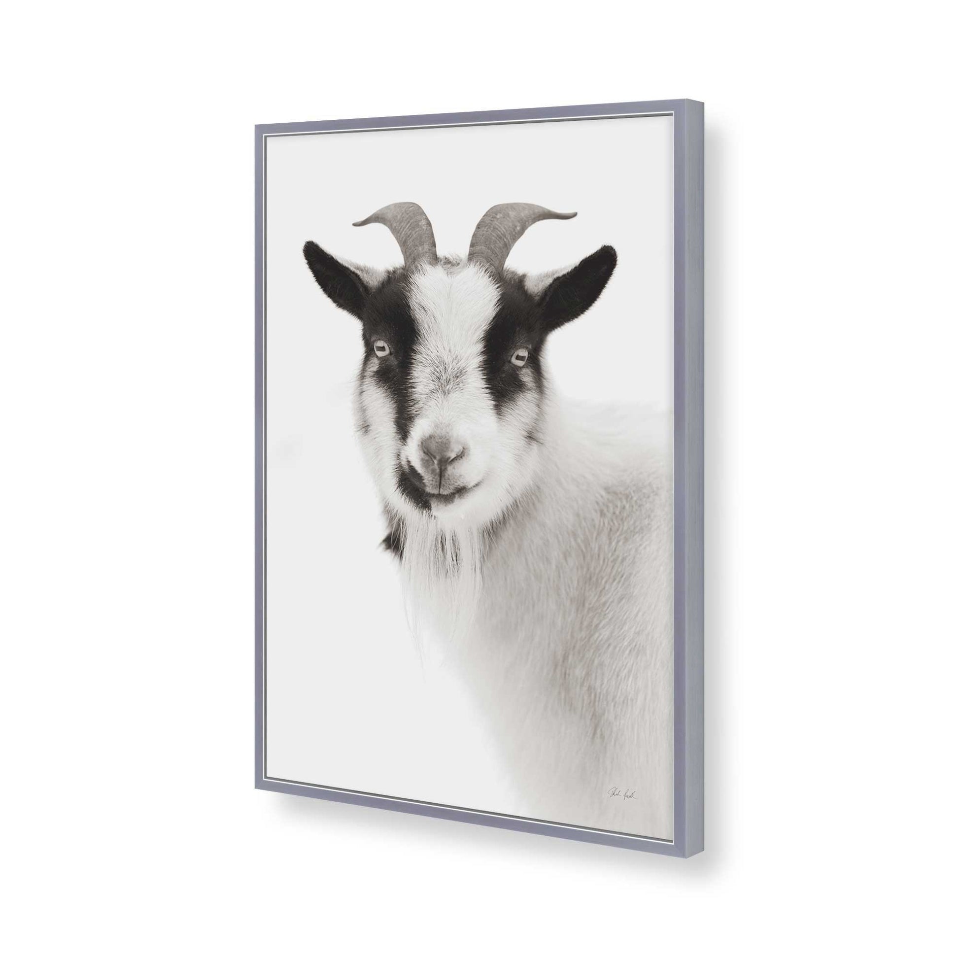 [Color:Polished Chrome], Picture of art in a Polished Chrome frame of the corner