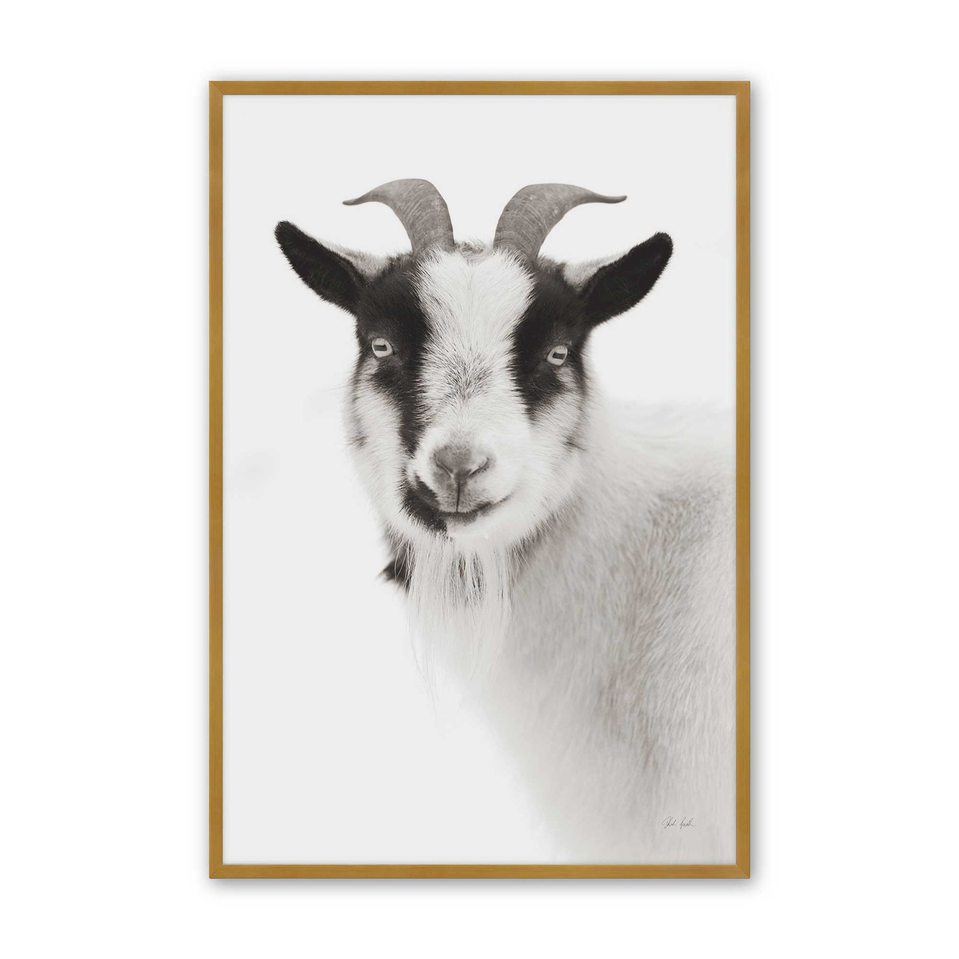 [Color:Polished Gold], Picture of art in a Polished Gold frame
