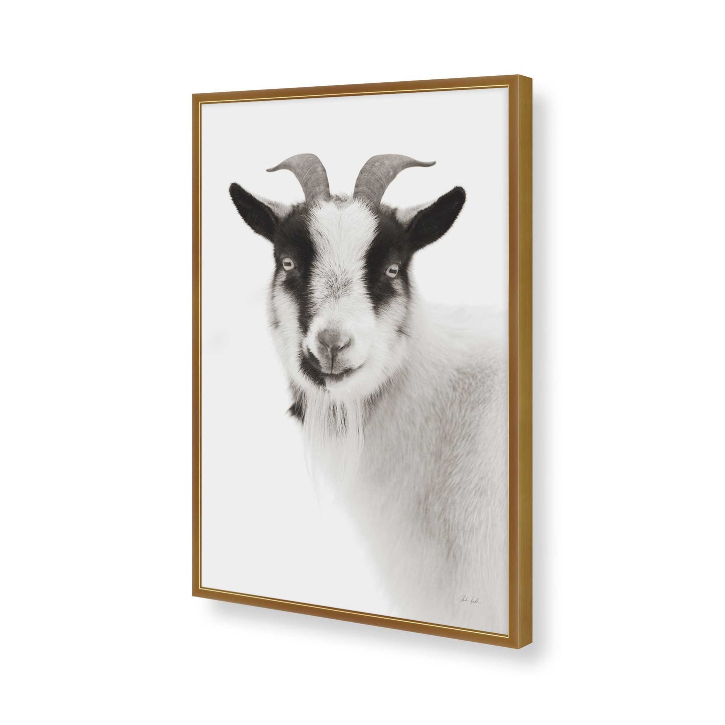 [Color:Polished Gold], Picture of art in a Polished Gold frame of the corner