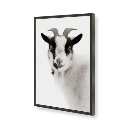 [Color:Satin Black], Picture of art in a Satin Black frame of the corner