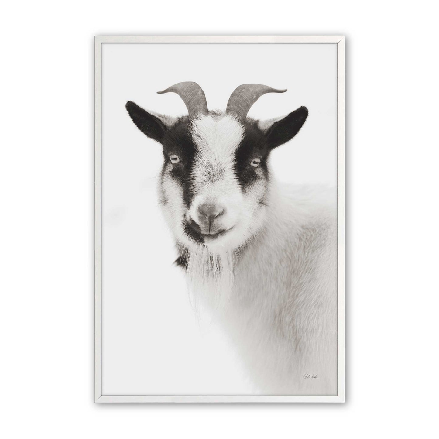 [Color:Opaque White], Picture of art in a Opaque White frame