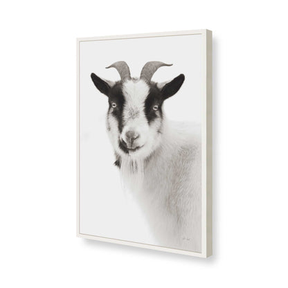 [Color:Opaque White], Picture of art in a Opaque White frame of the corner