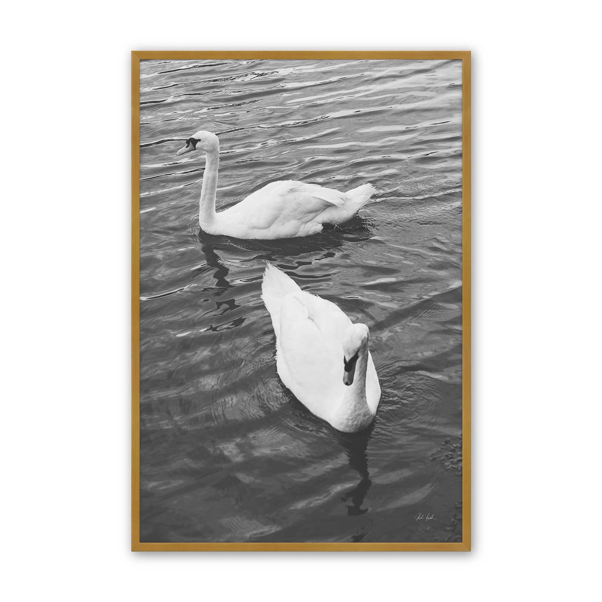[Color:Polished Gold], Picture of art in a Polished Gold frame