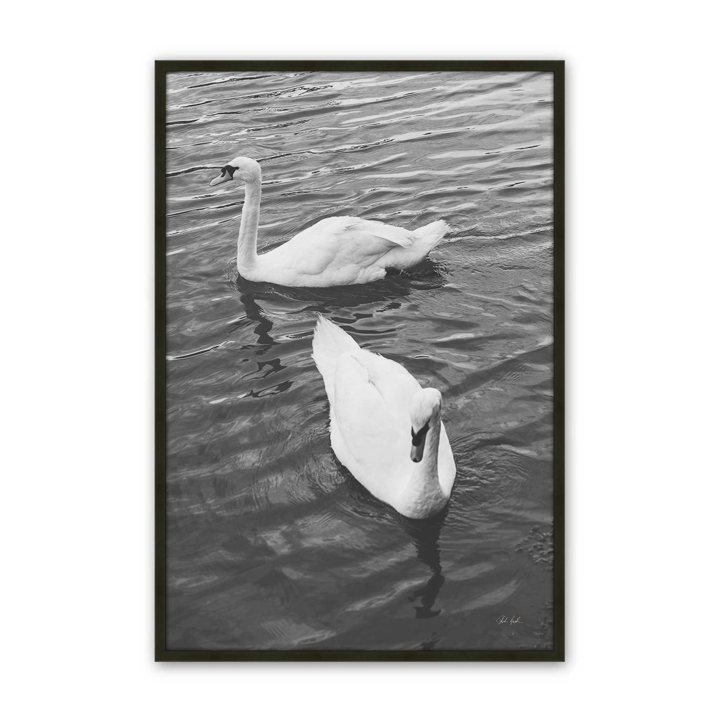 [Color:Satin Black], Picture of art in a Satin Black frame