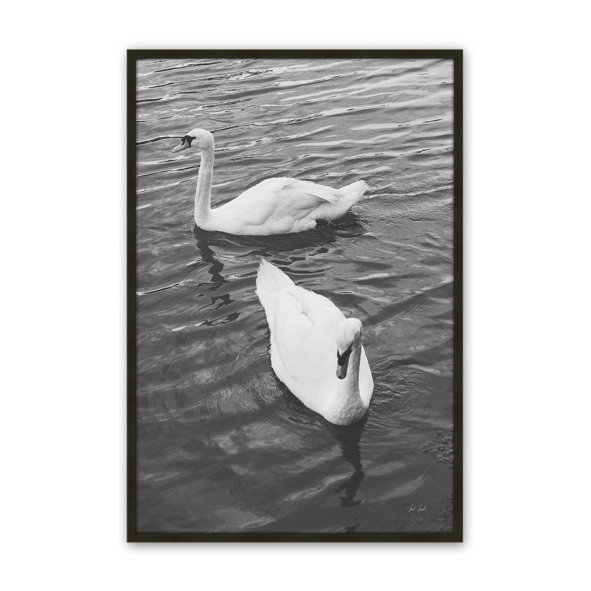 [Color:Satin Black], Picture of art in a Satin Black frame