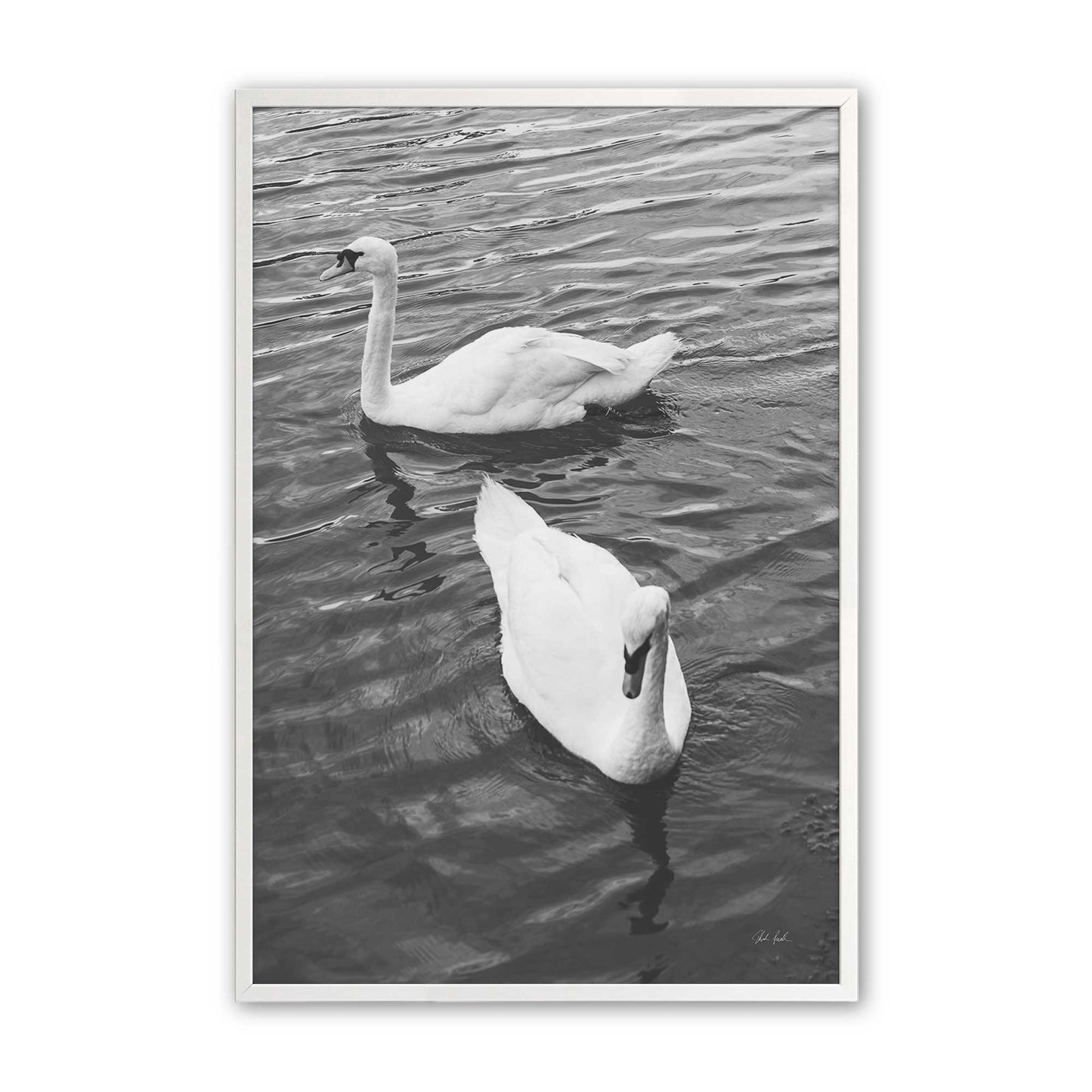 [Color:Opaque White], Picture of art in a Opaque White frame
