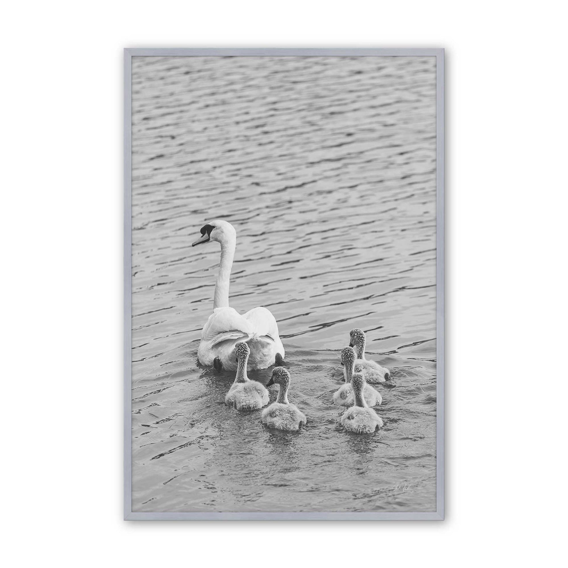 [Color:Polished Chrome], Picture of art in a Polished Chrome frame