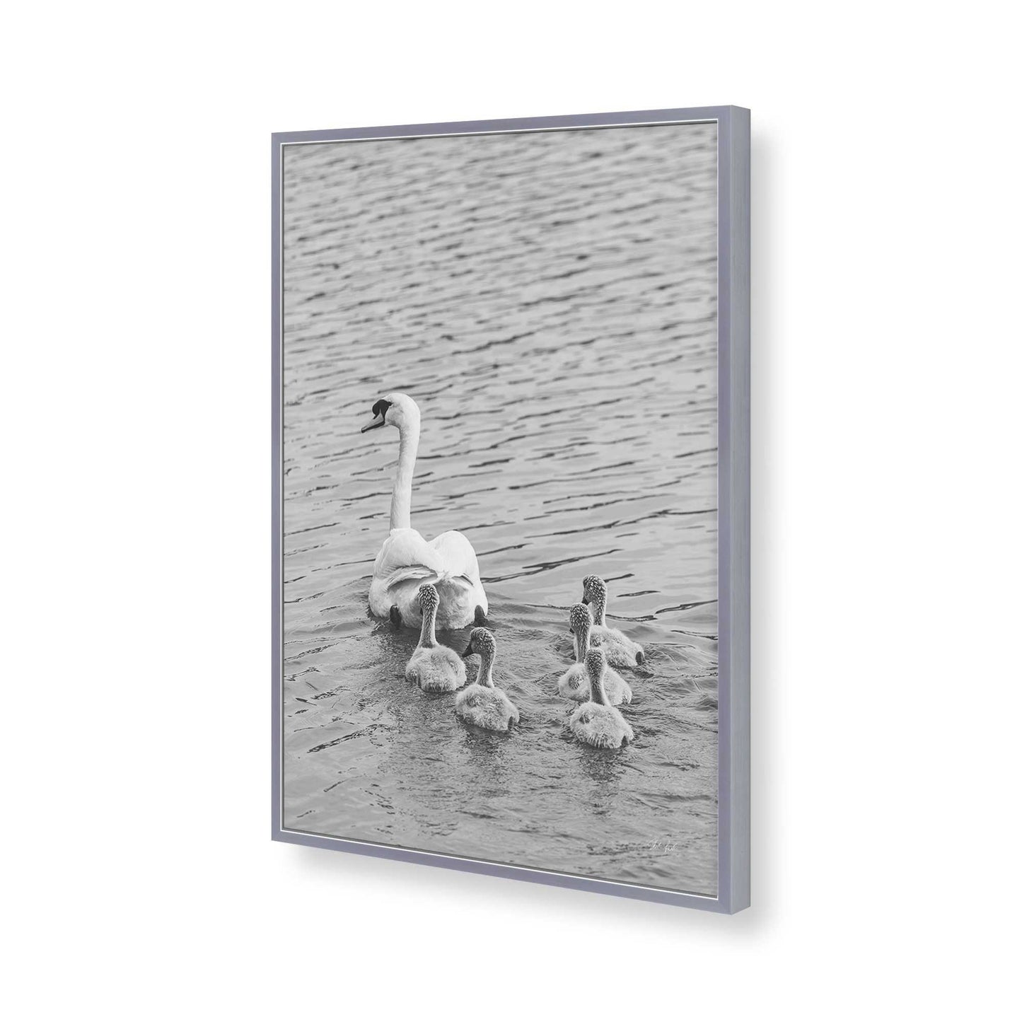 [Color:Polished Chrome], Picture of art in a Polished Chrome frame of the corner