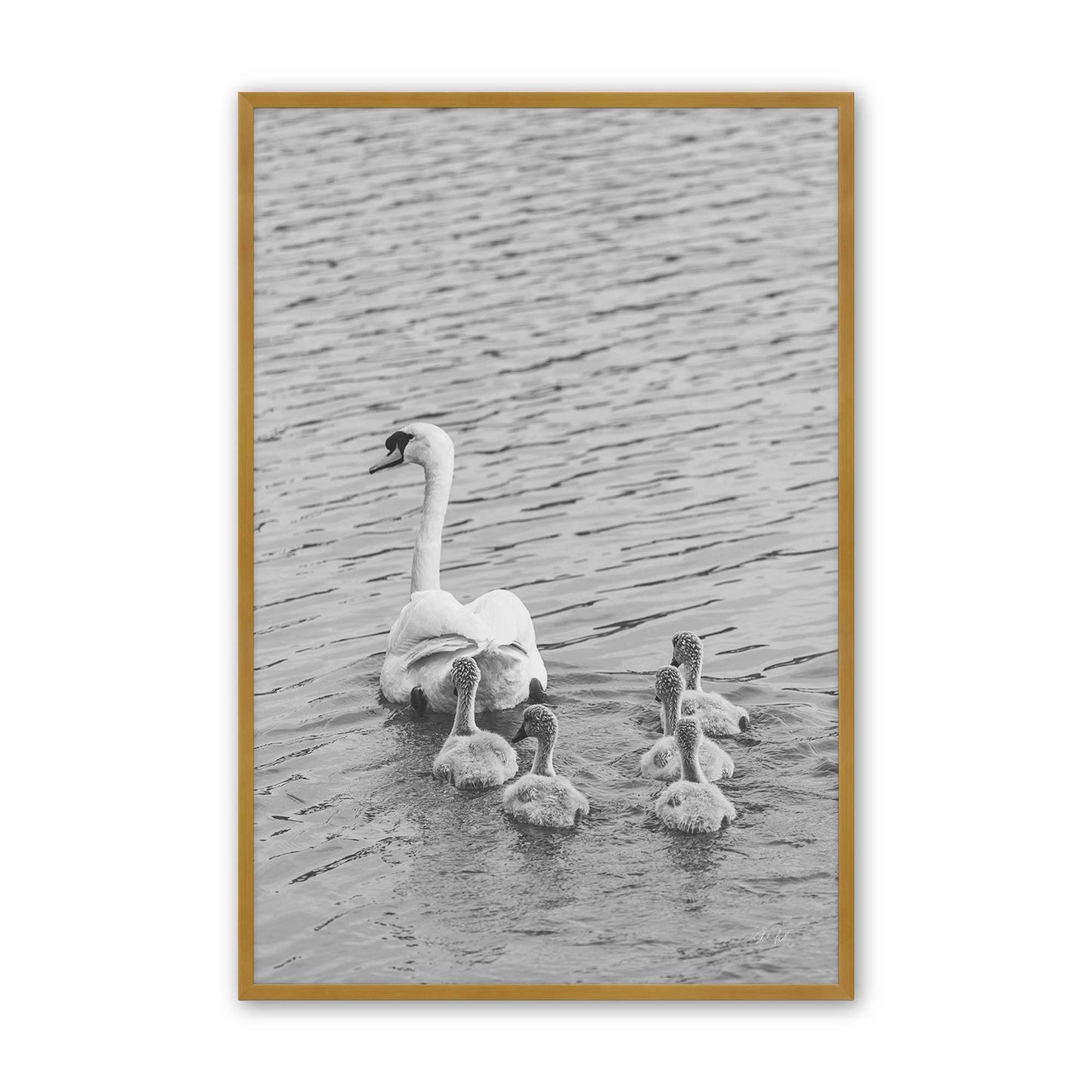 [Color:Polished Gold], Picture of art in a Polished Gold frame