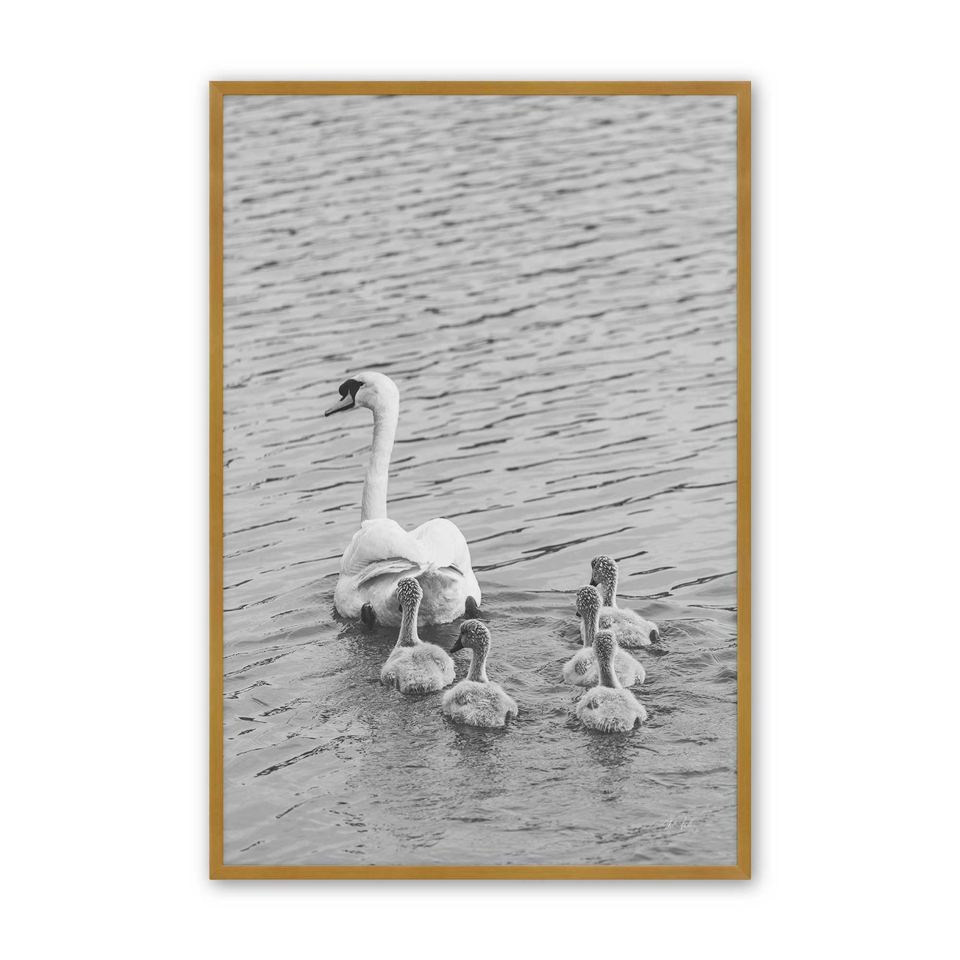 [Color:Polished Gold], Picture of art in a Polished Gold frame