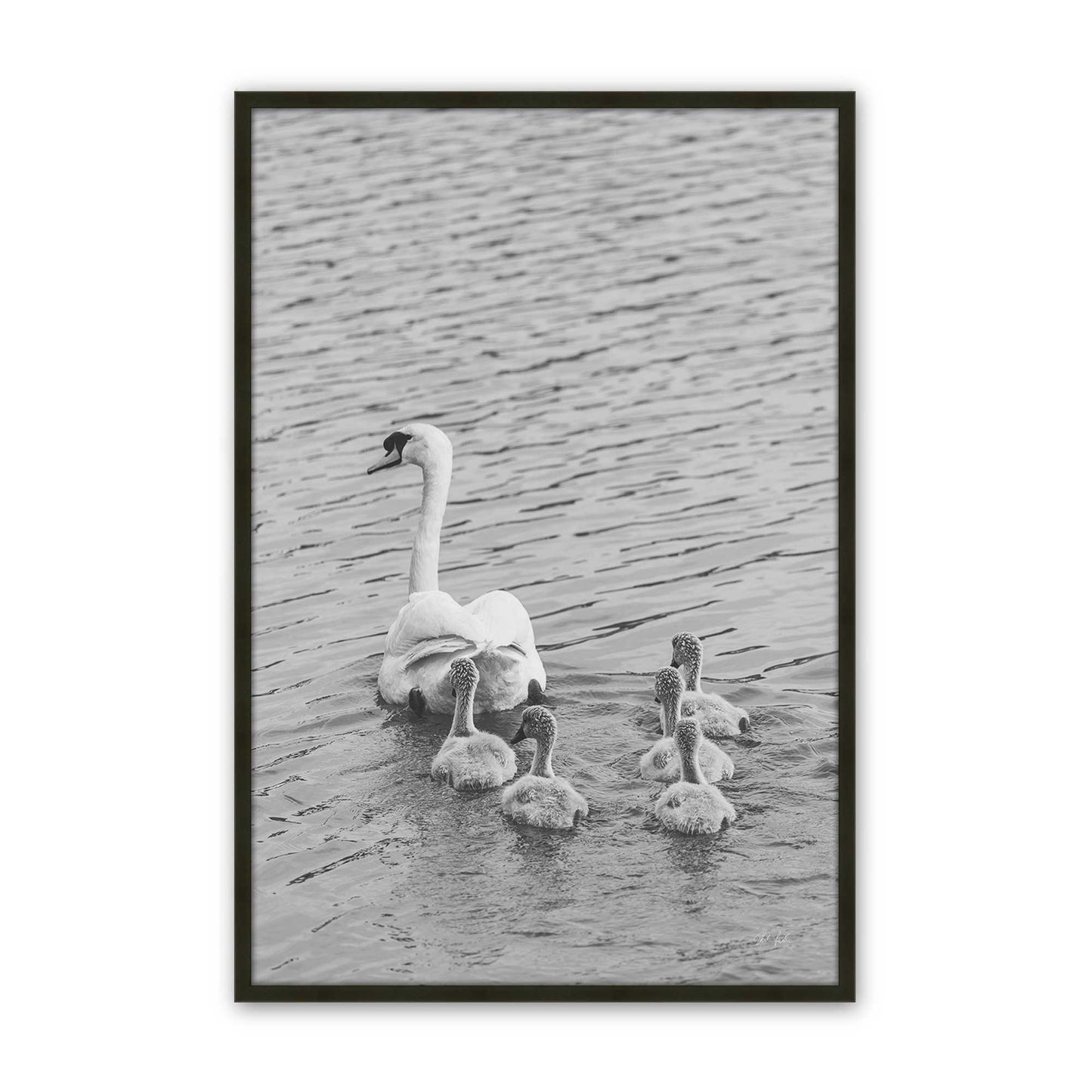 [Color:Satin Black], Picture of art in a Satin Black frame