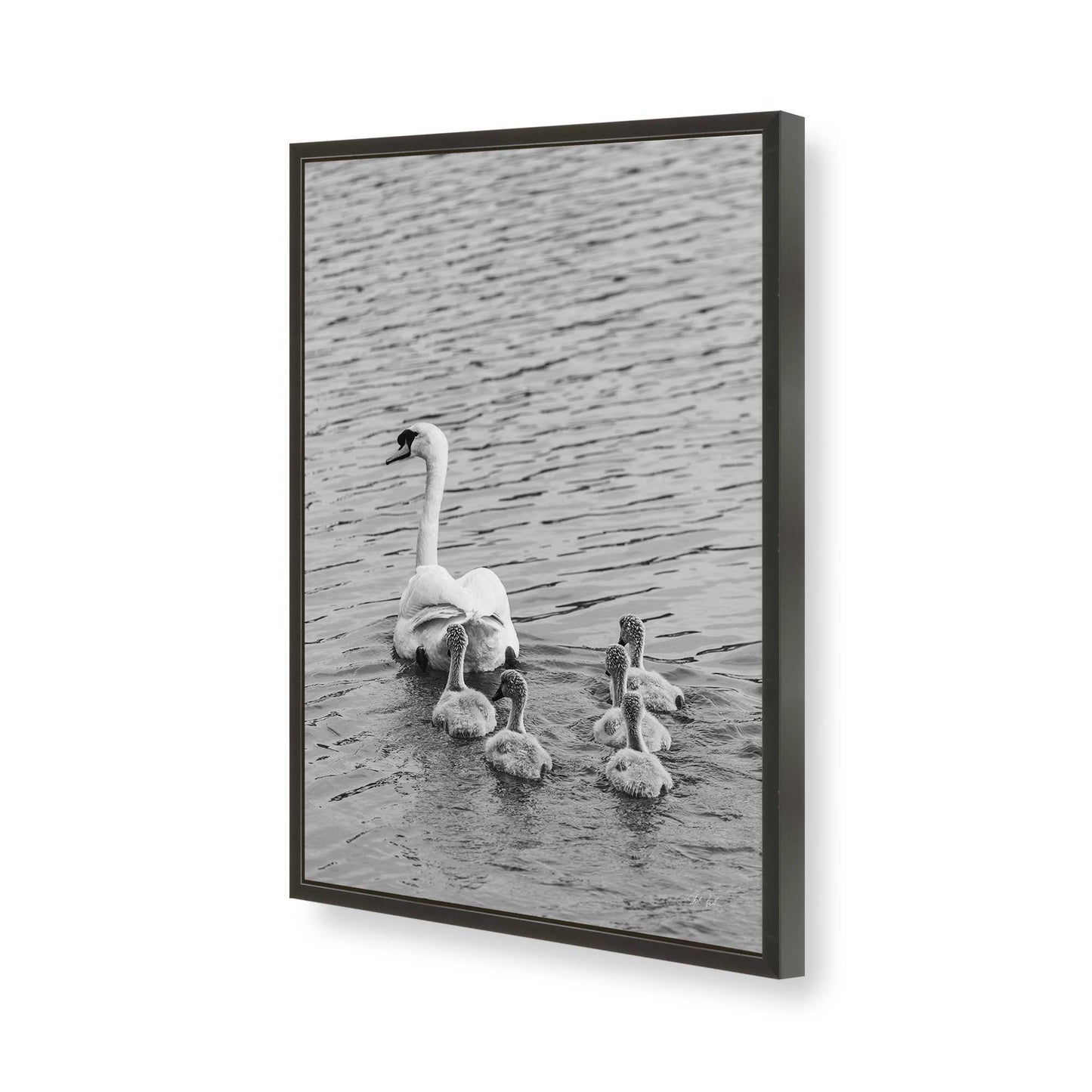 [Color:Satin Black], Picture of art in a Satin Black frame of the corner