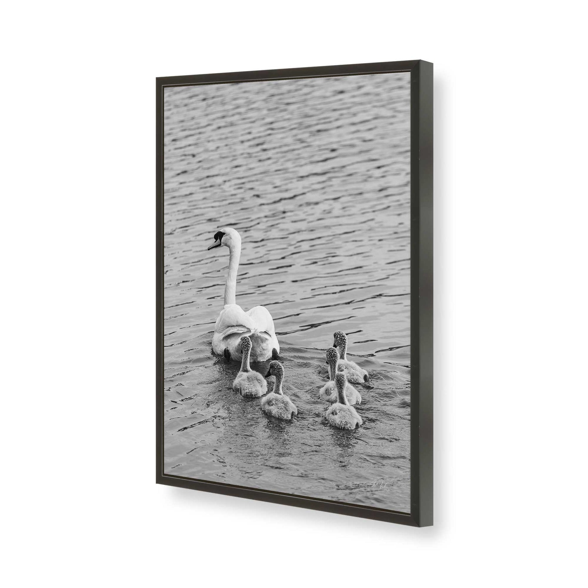 [Color:Satin Black], Picture of art in a Satin Black frame of the corner