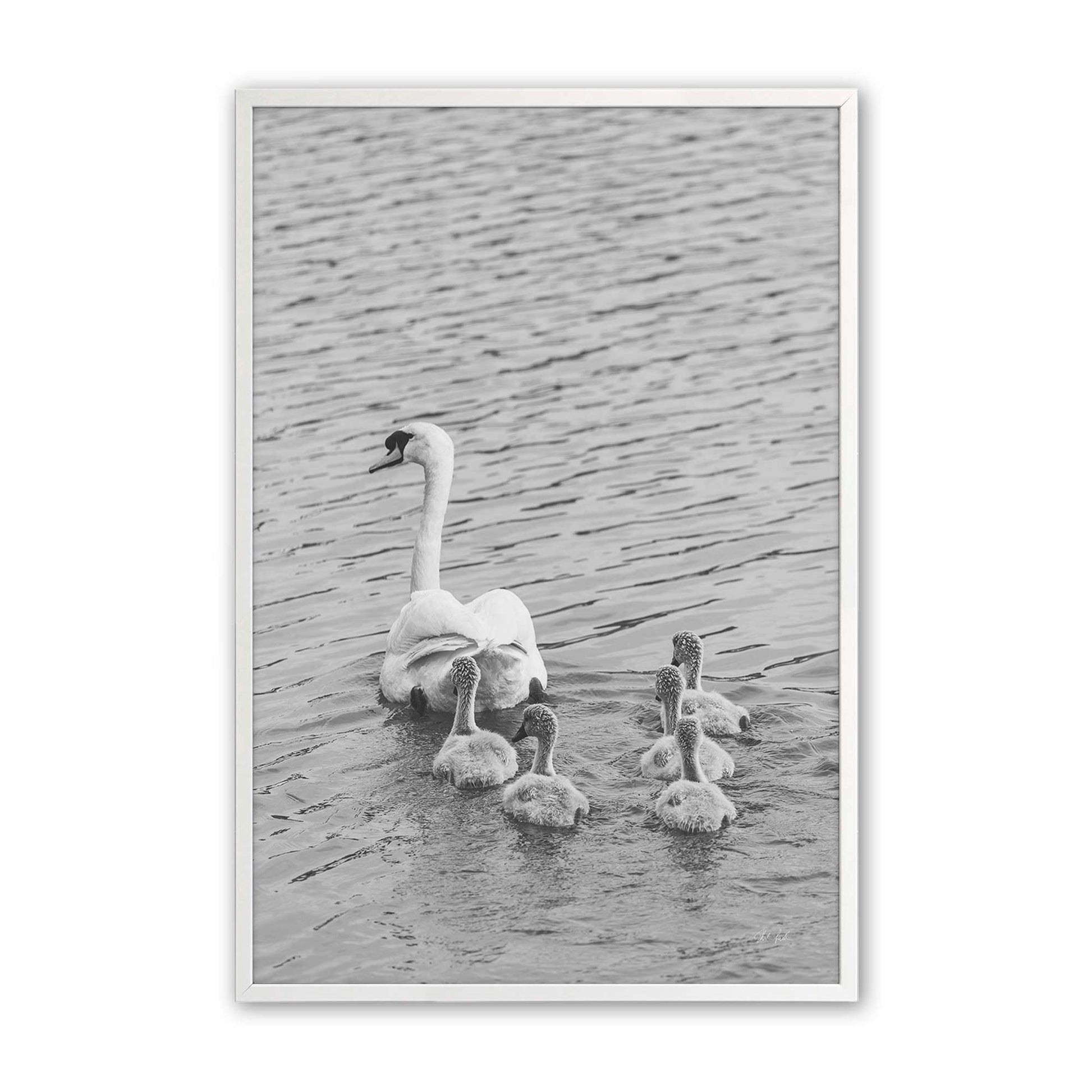 [Color:Opaque White], Picture of art in a Opaque White frame