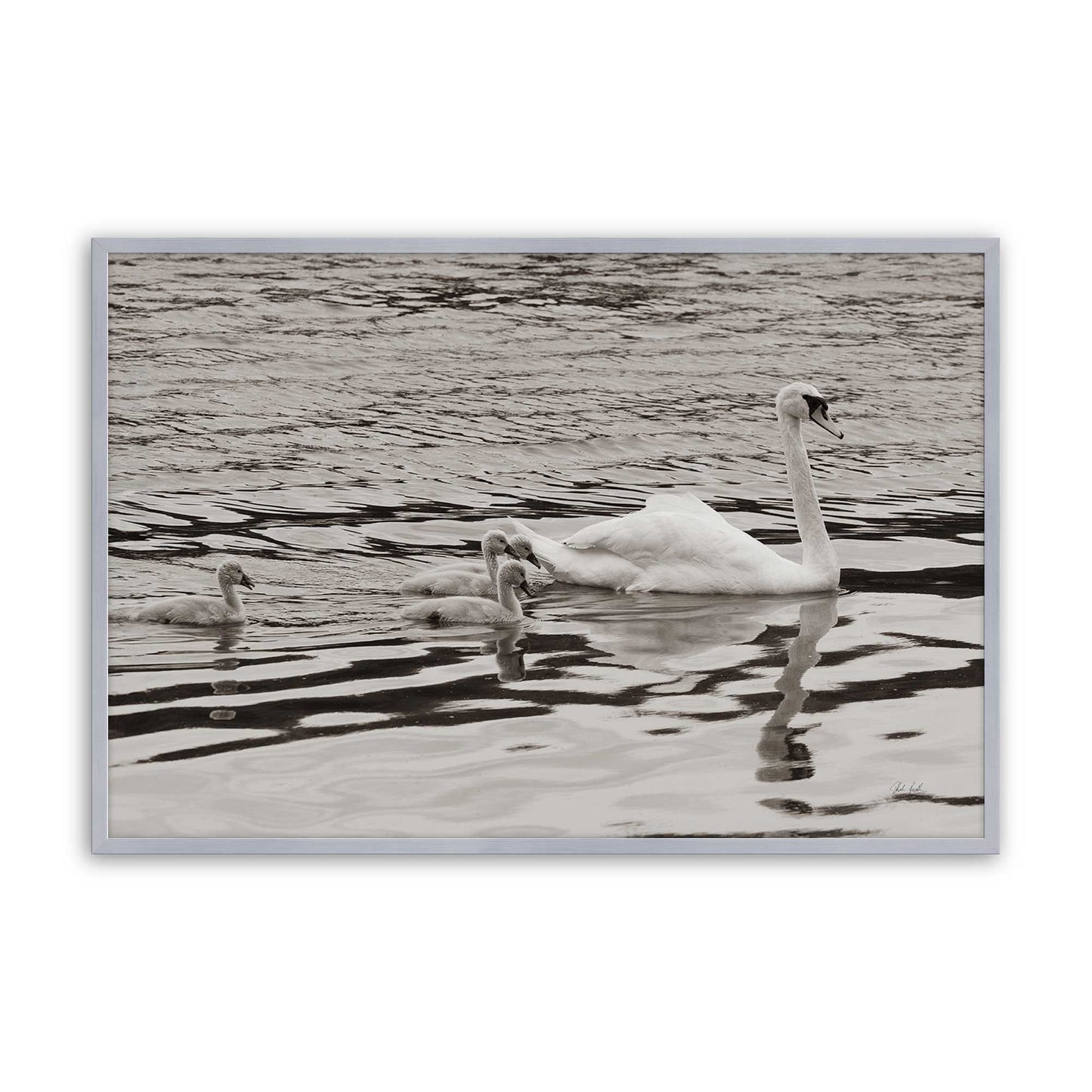 [Color:Polished Chrome], Picture of art in a Polished Chrome frame