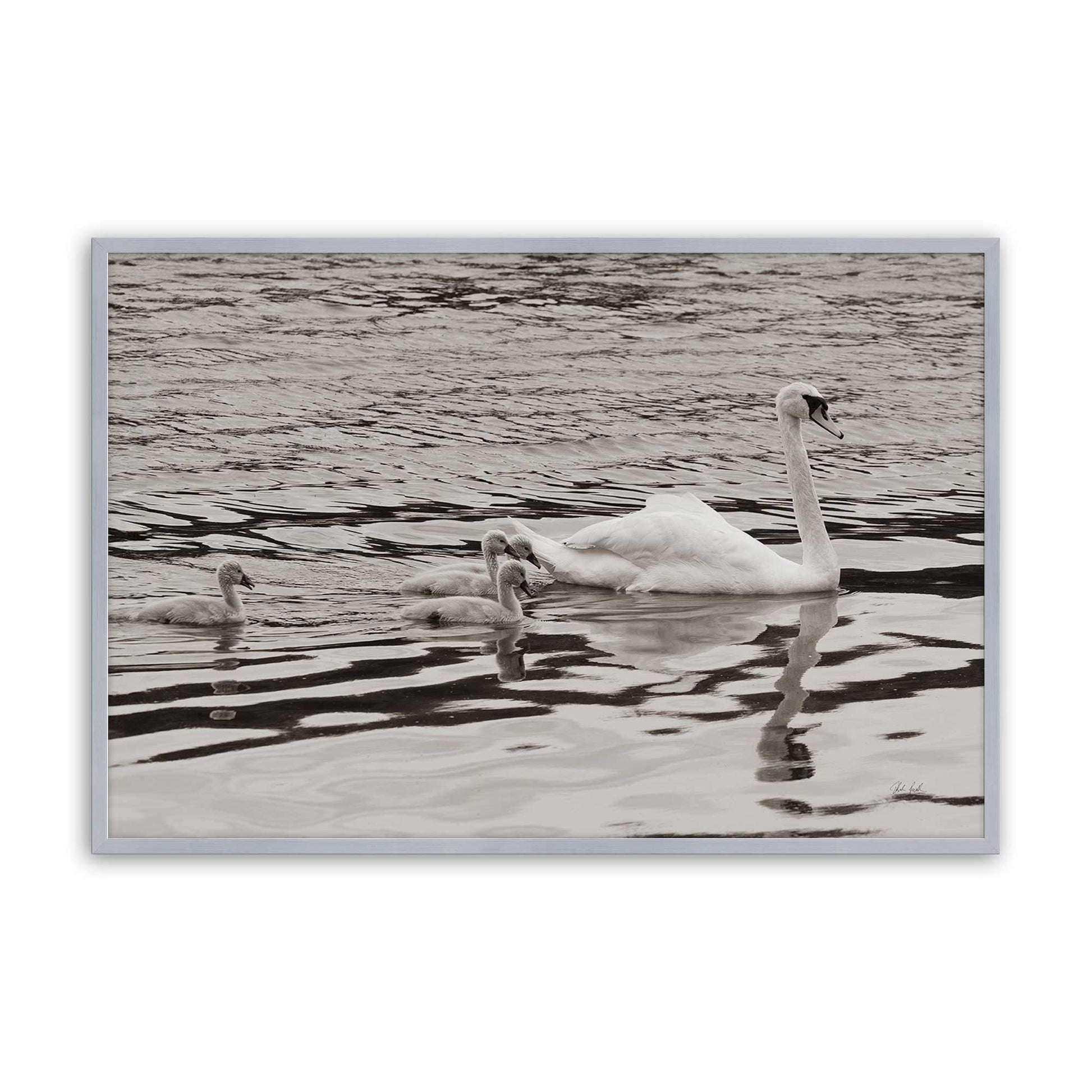 [Color:Polished Chrome], Picture of art in a Polished Chrome frame