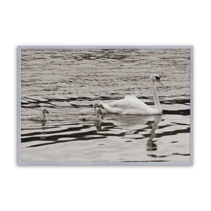 [Color:Polished Chrome], Picture of art in a Polished Chrome frame