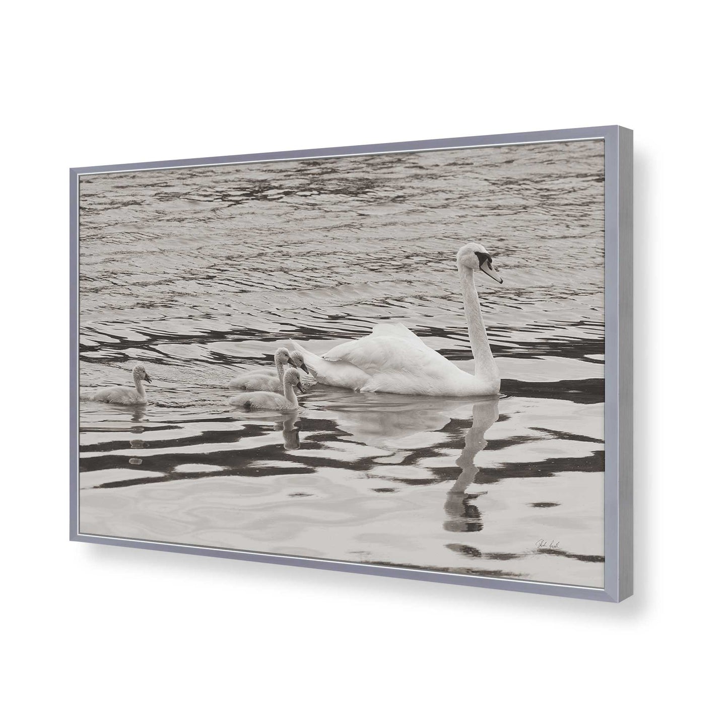 [Color:Polished Chrome], Picture of art in a Polished Chrome frame of the corner