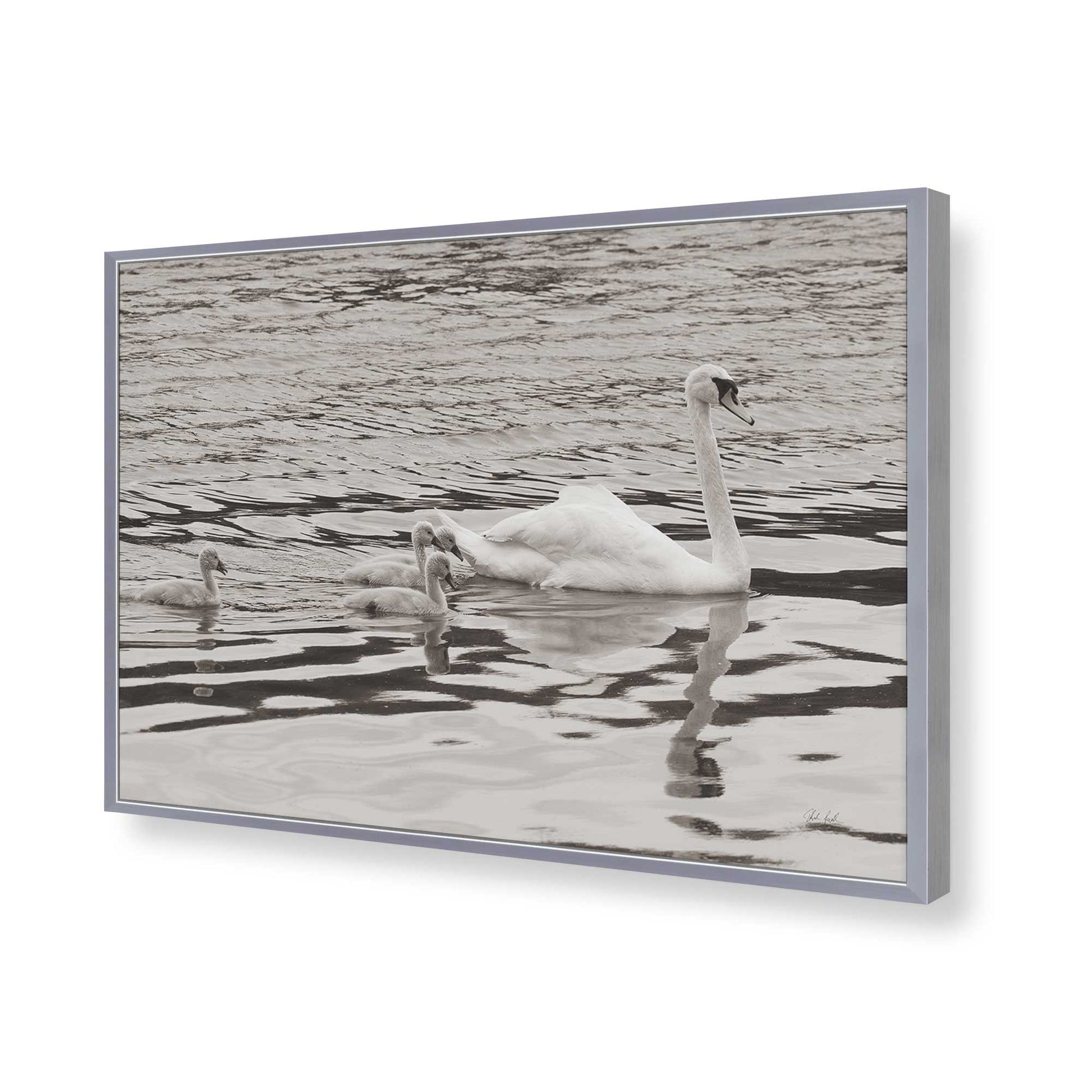 [Color:Polished Chrome], Picture of art in a Polished Chrome frame of the corner