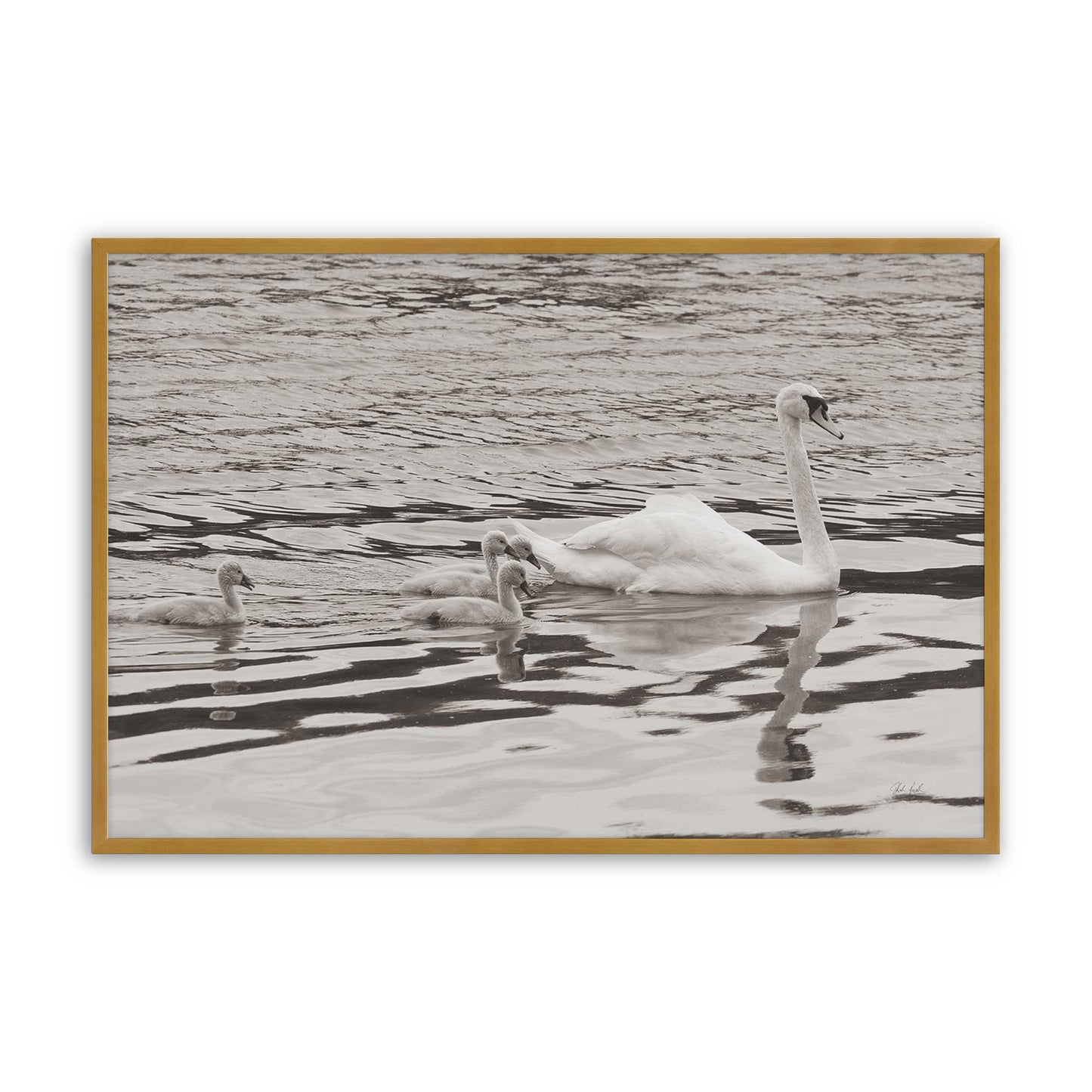 [Color:Polished Gold], Picture of art in a Polished Gold frame