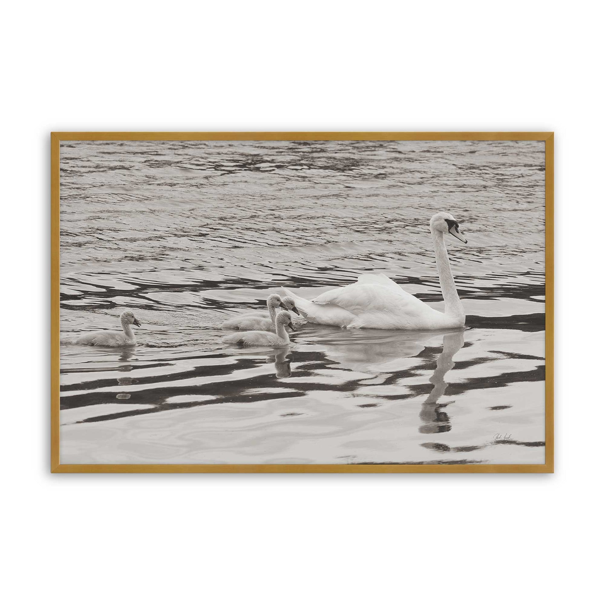 [Color:Polished Gold], Picture of art in a Polished Gold frame