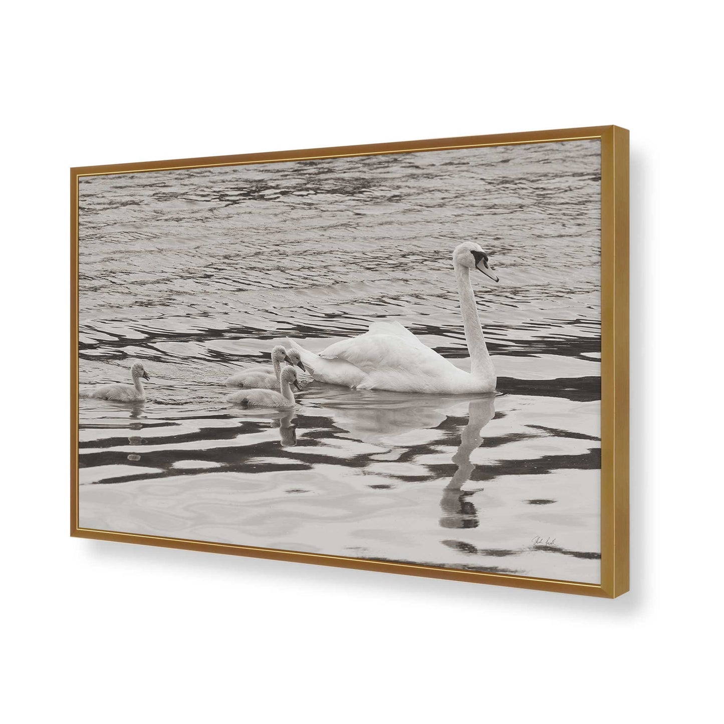 [Color:Polished Gold], Picture of art in a Polished Gold frame of the corner