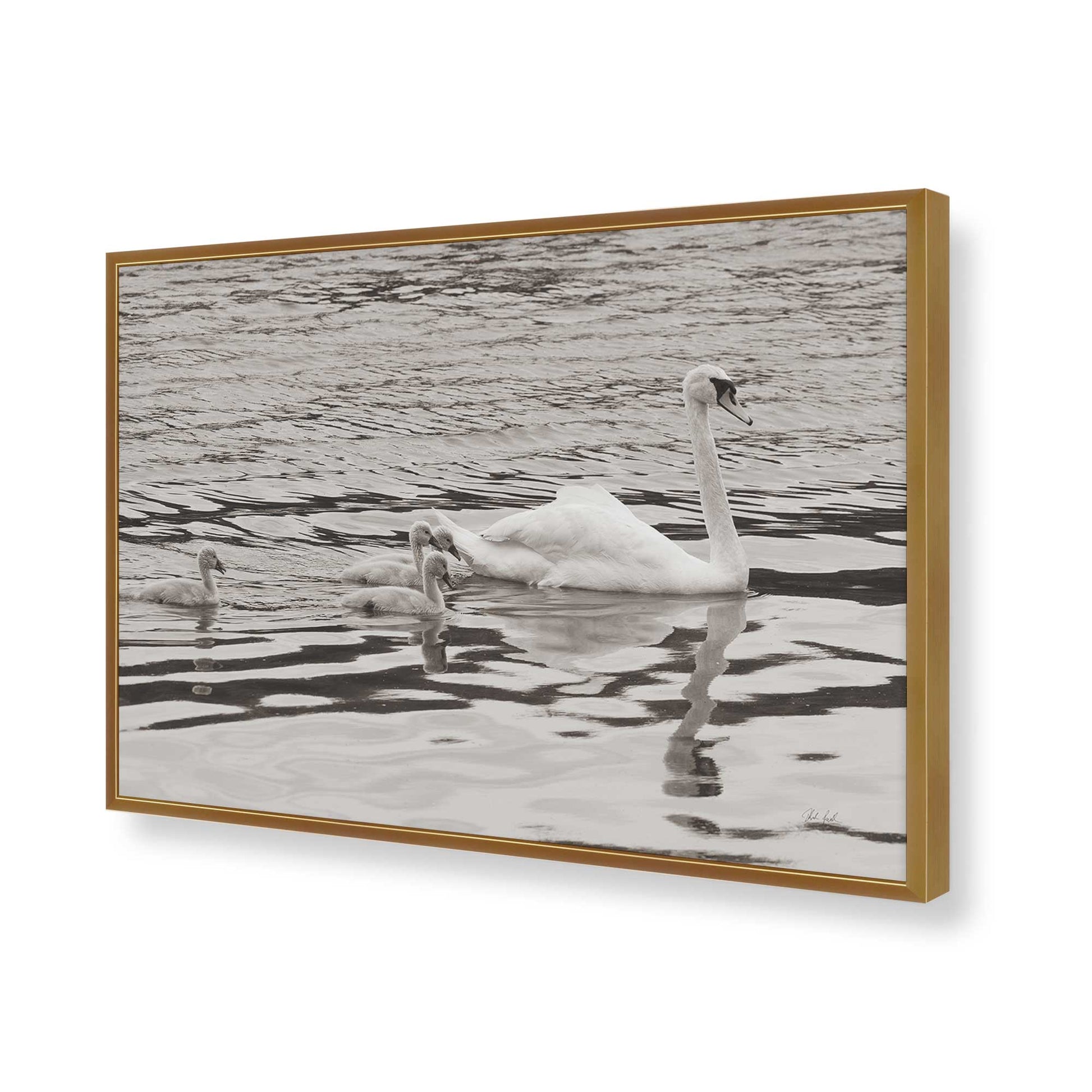 [Color:Polished Gold], Picture of art in a Polished Gold frame of the corner