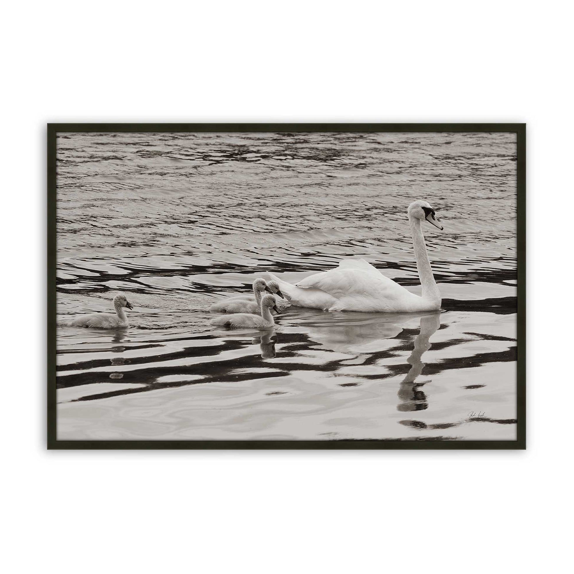 [Color:Satin Black], Picture of art in a Satin Black frame