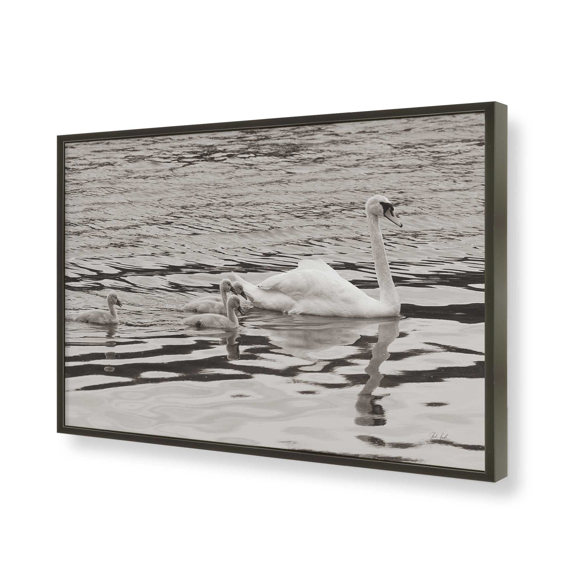 [Color:Satin Black], Picture of art in a Satin Black frame of the corner