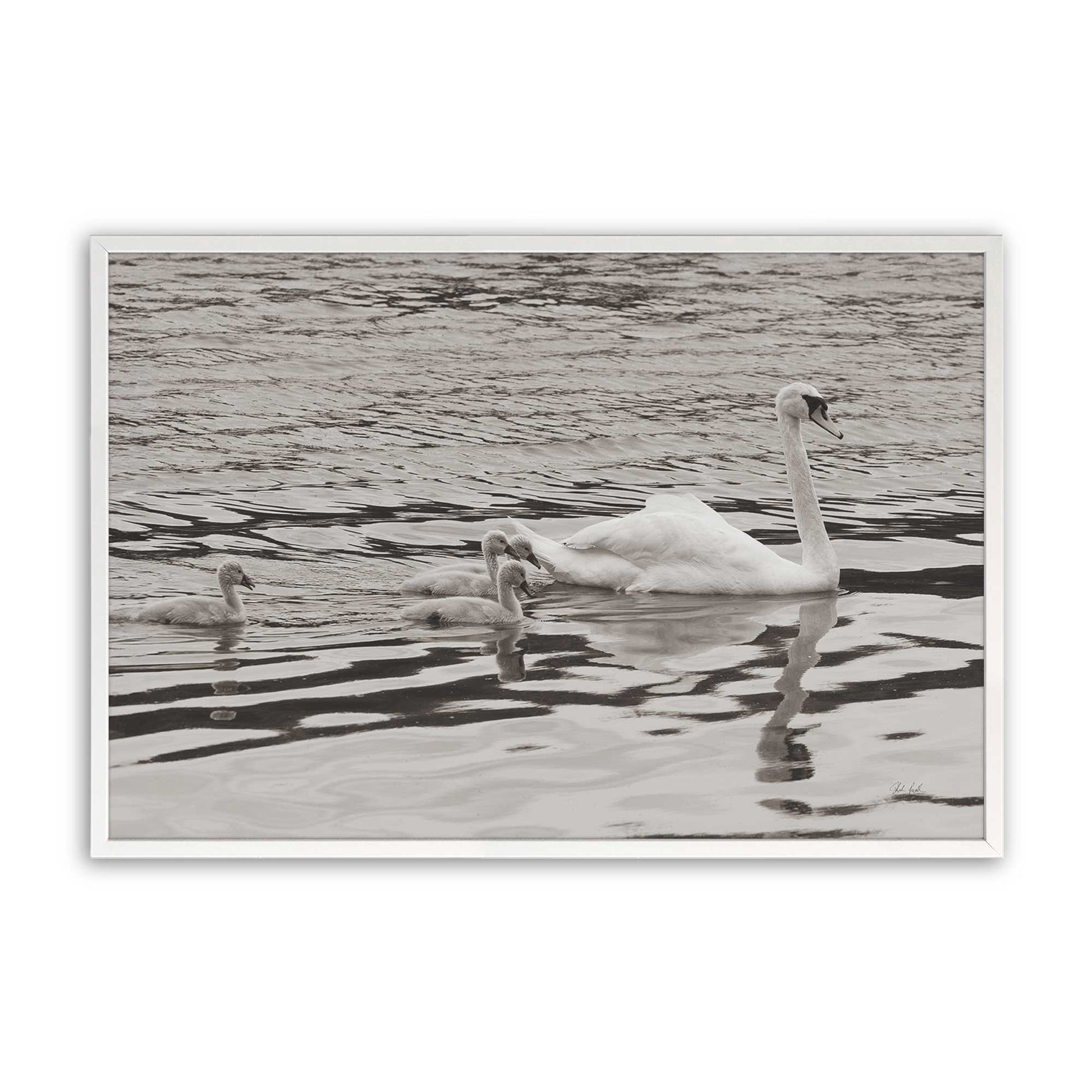 [Color:Opaque White], Picture of art in a Opaque White frame