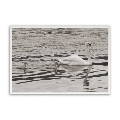 [Color:Opaque White], Picture of art in a Opaque White frame