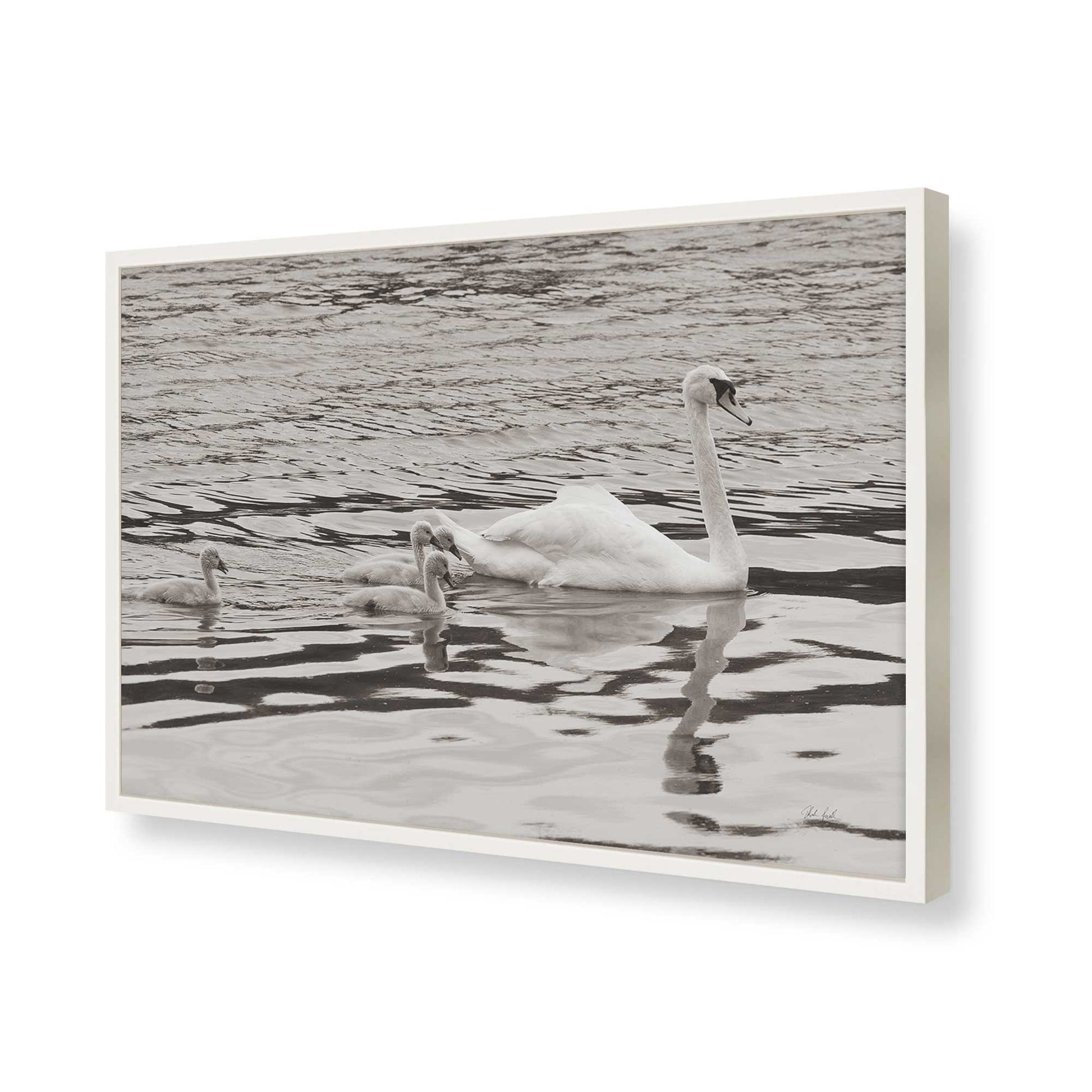 [Color:Opaque White], Picture of art in a Opaque White frame of the corner