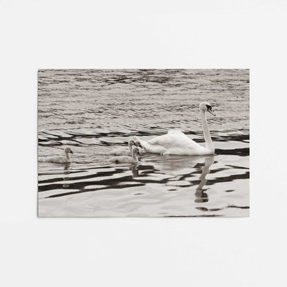 [Color:Rolled Print], Picture of close up of art