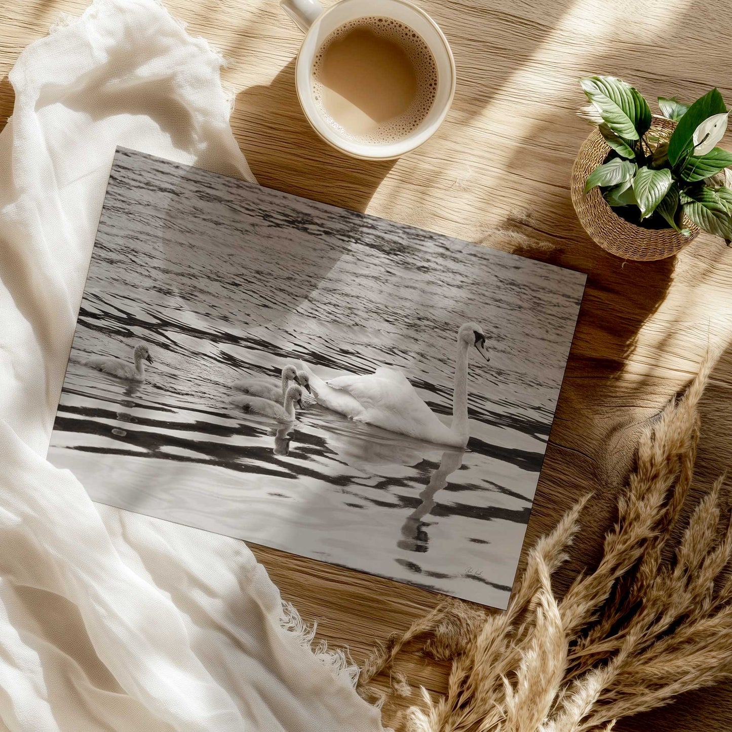 [Color:Rolled Print], Picture of close up of art