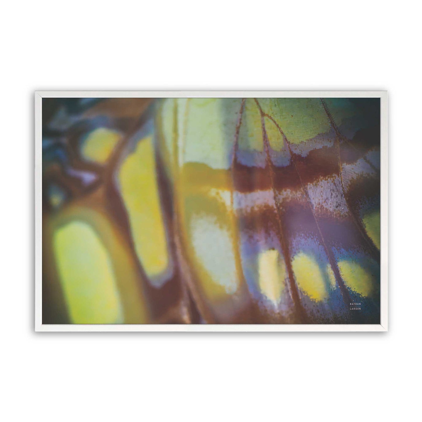 [Color:Opaque White], Picture of art in a Opaque White frame