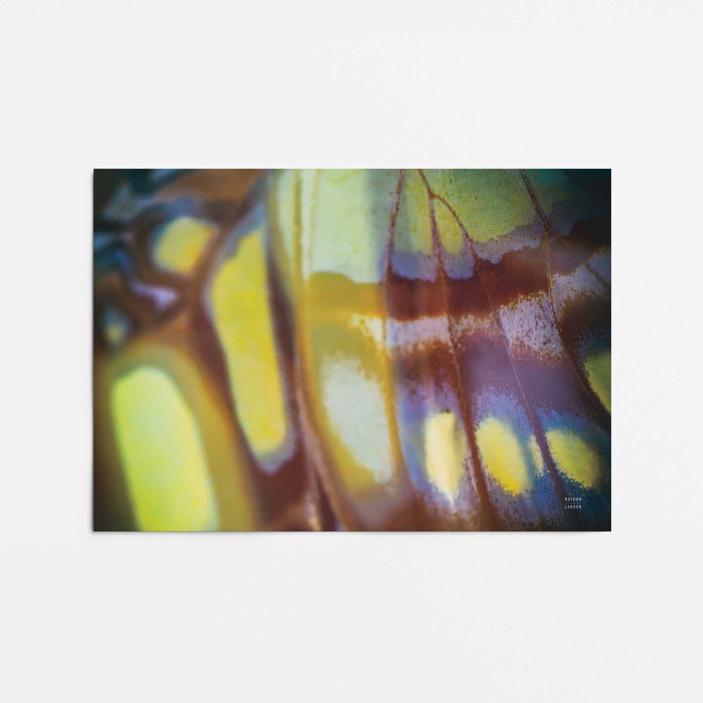 [Color:Rolled Print], Picture of close up of art