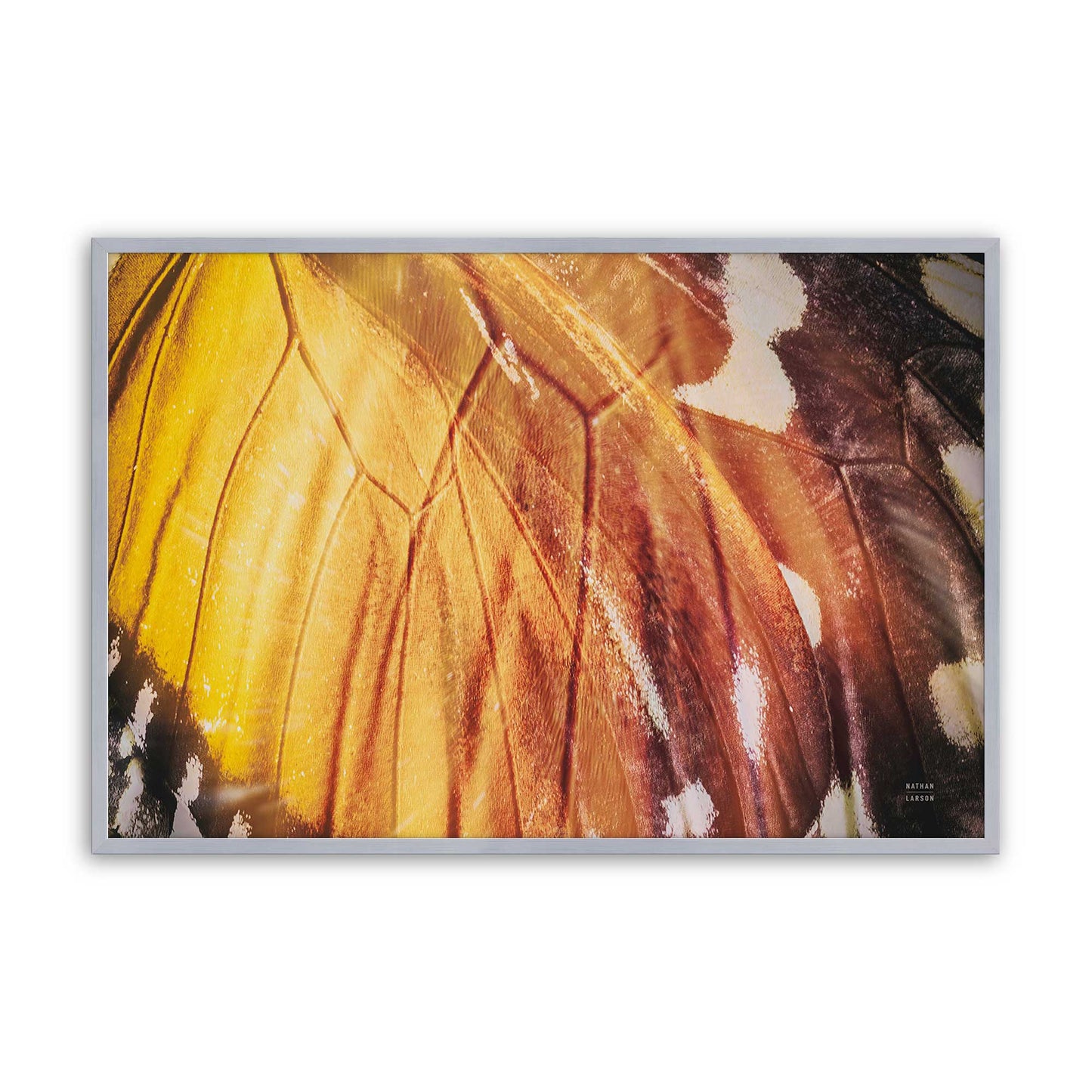 [Color:Polished Chrome], Picture of art in a Polished Chrome frame