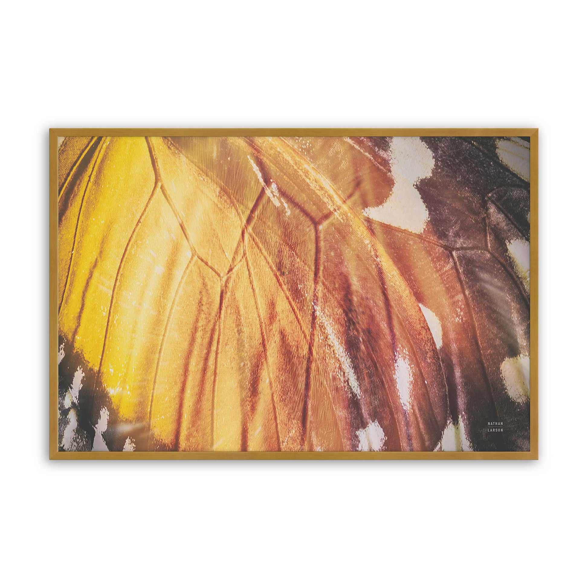 [Color:Polished Gold], Picture of art in a Polished Gold frame
