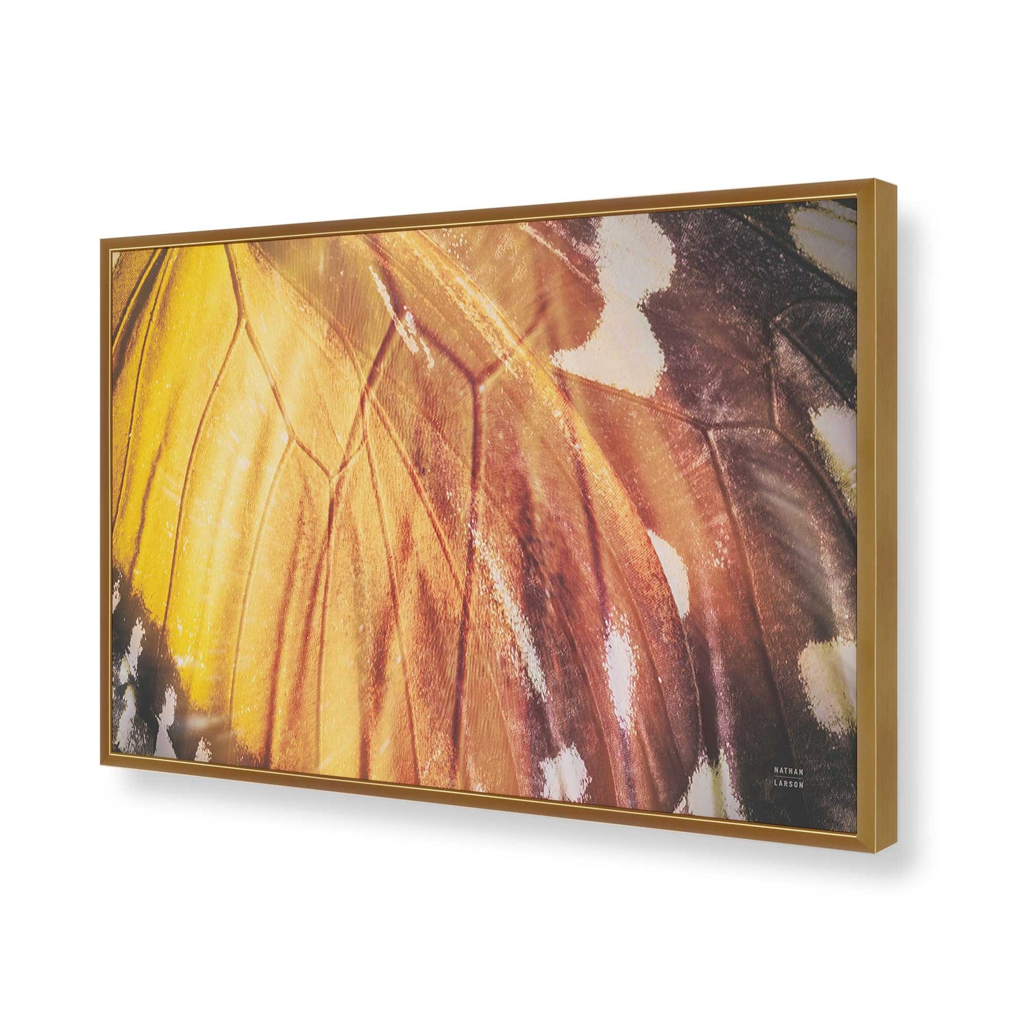 [Color:Polished Gold], Picture of art in a Polished Gold frame of the corner