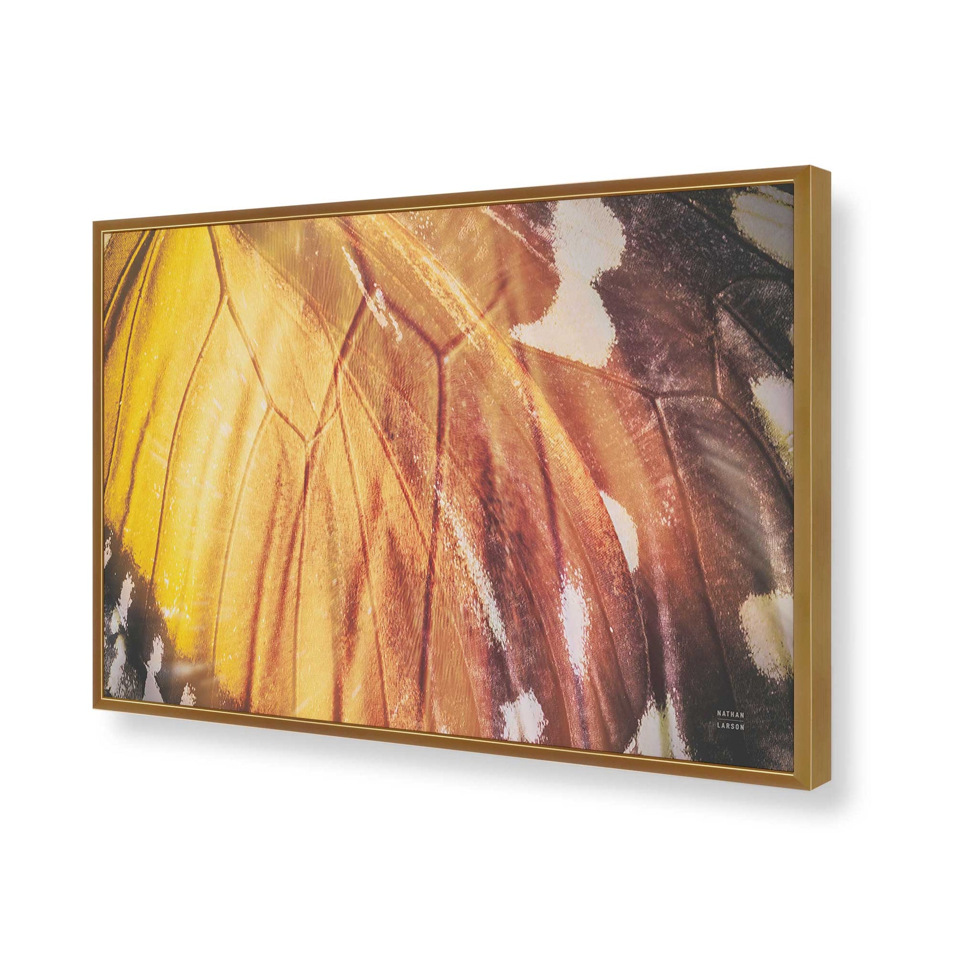 [Color:Polished Gold], Picture of art in a Polished Gold frame of the corner