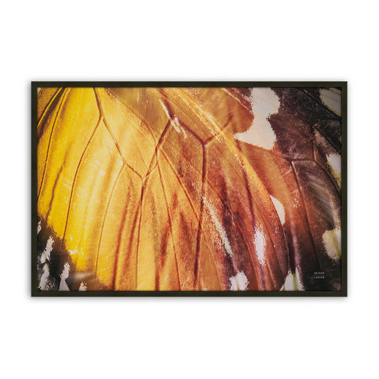 [Color:Satin Black], Front of the art