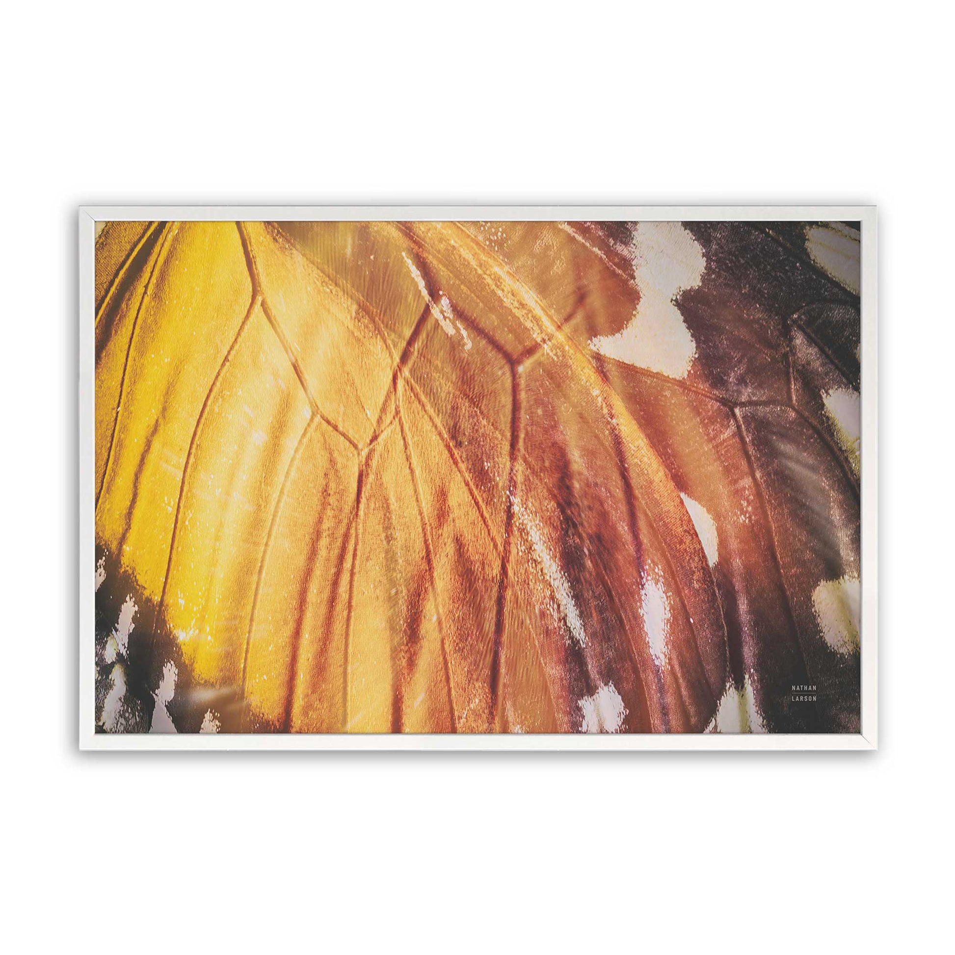 [Color:Opaque White], Picture of art in a Opaque White frame