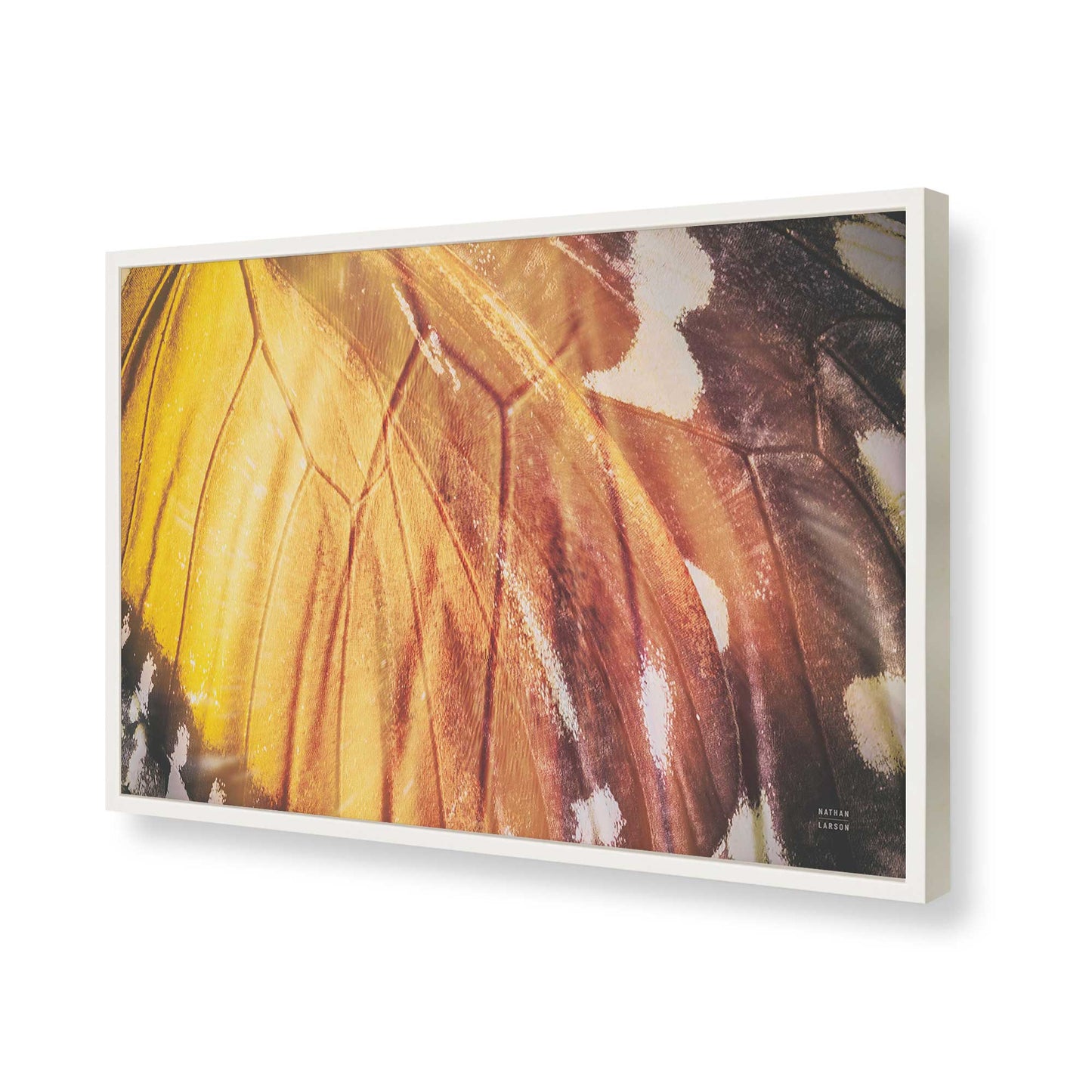 [Color:Opaque White], Picture of art in a Opaque White frame of the corner