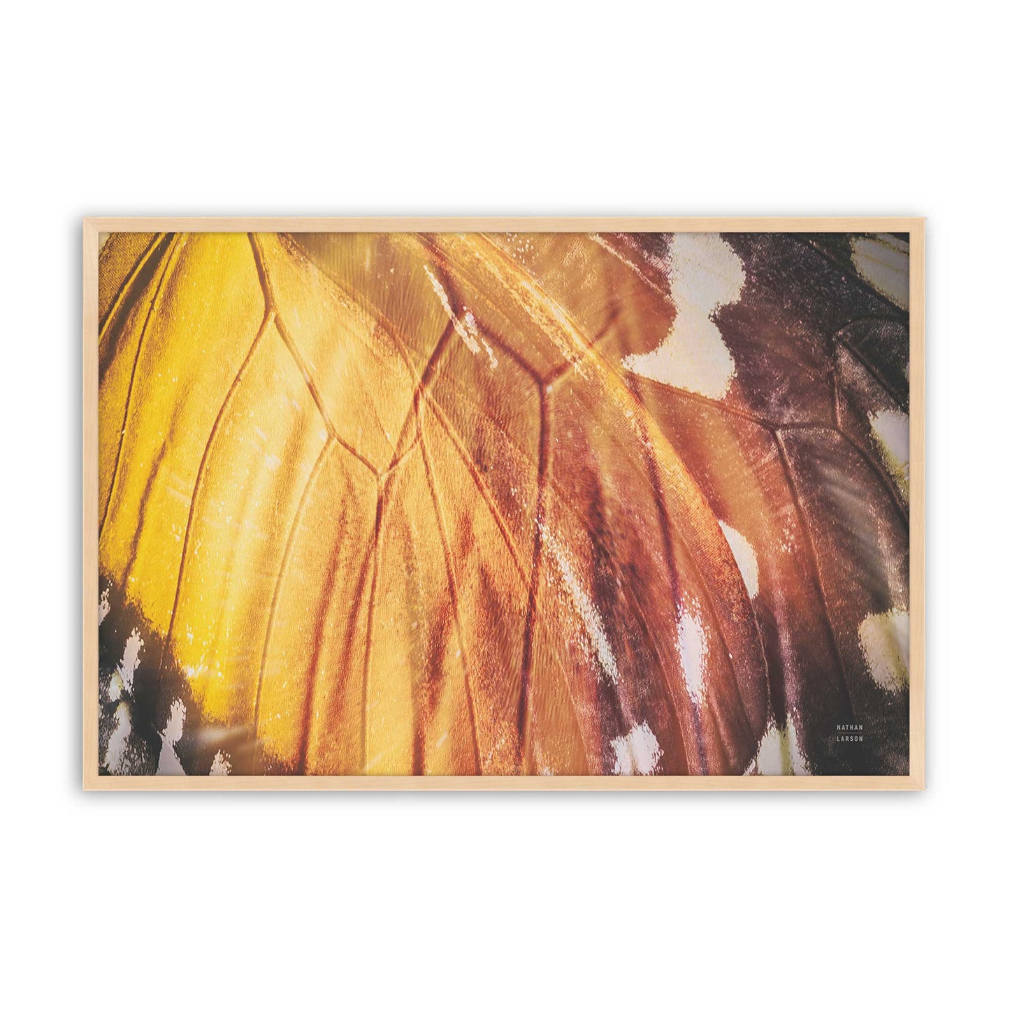 [Color:Raw Maple], Picture of art in a Raw Maple frame