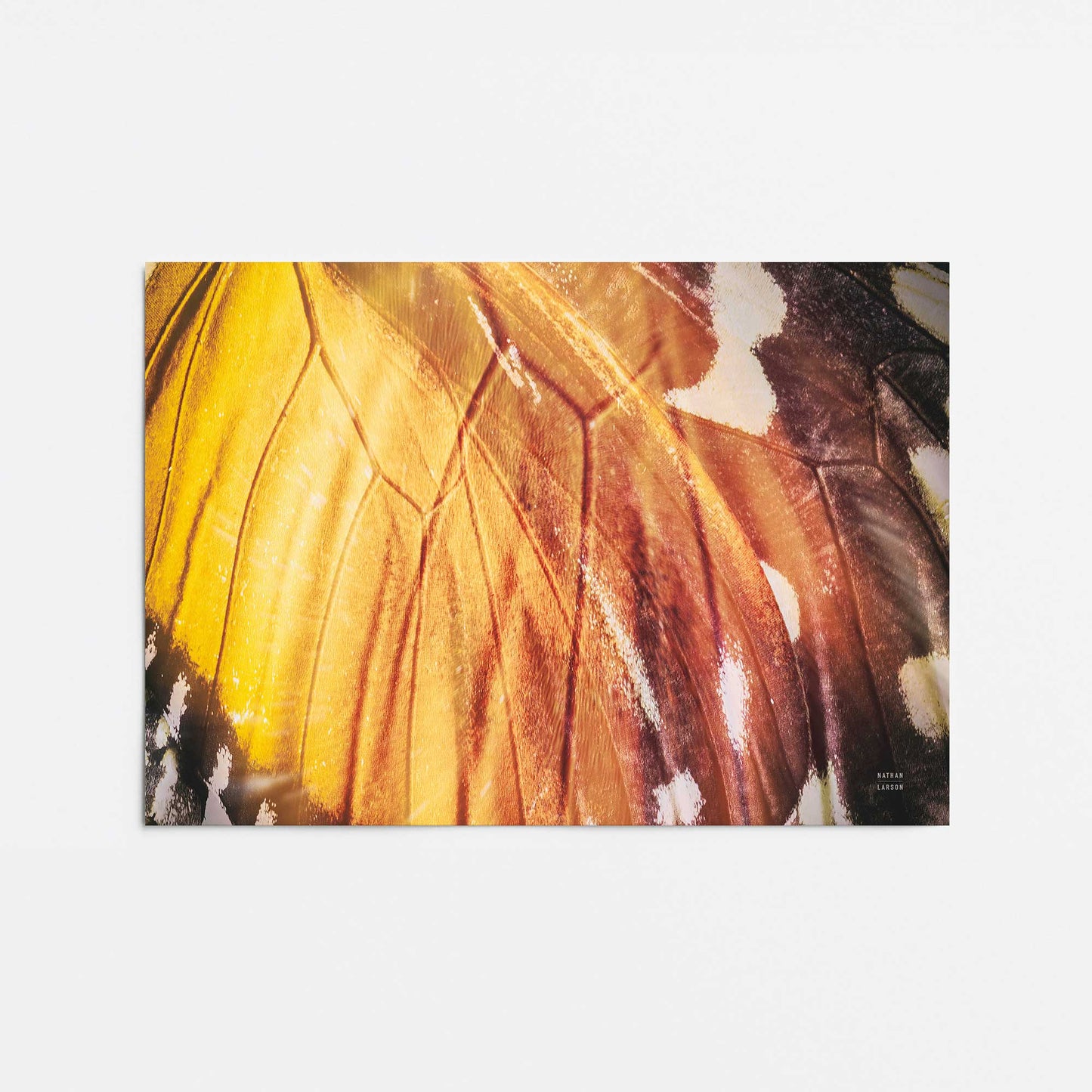 [Color:Rolled Print], Picture of close up of art
