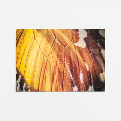 [Color:Rolled Print], Picture of close up of art