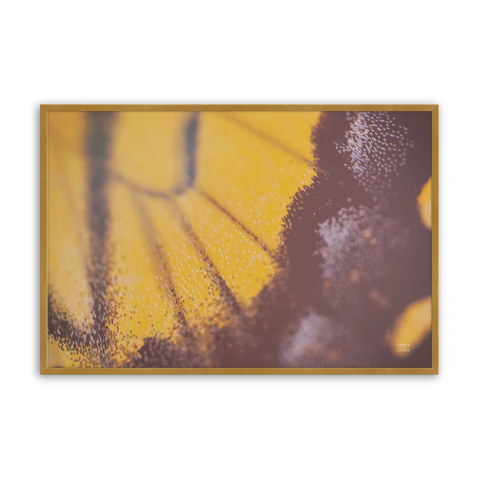 [Color:Polished Gold], Picture of art in a Polished Gold frame