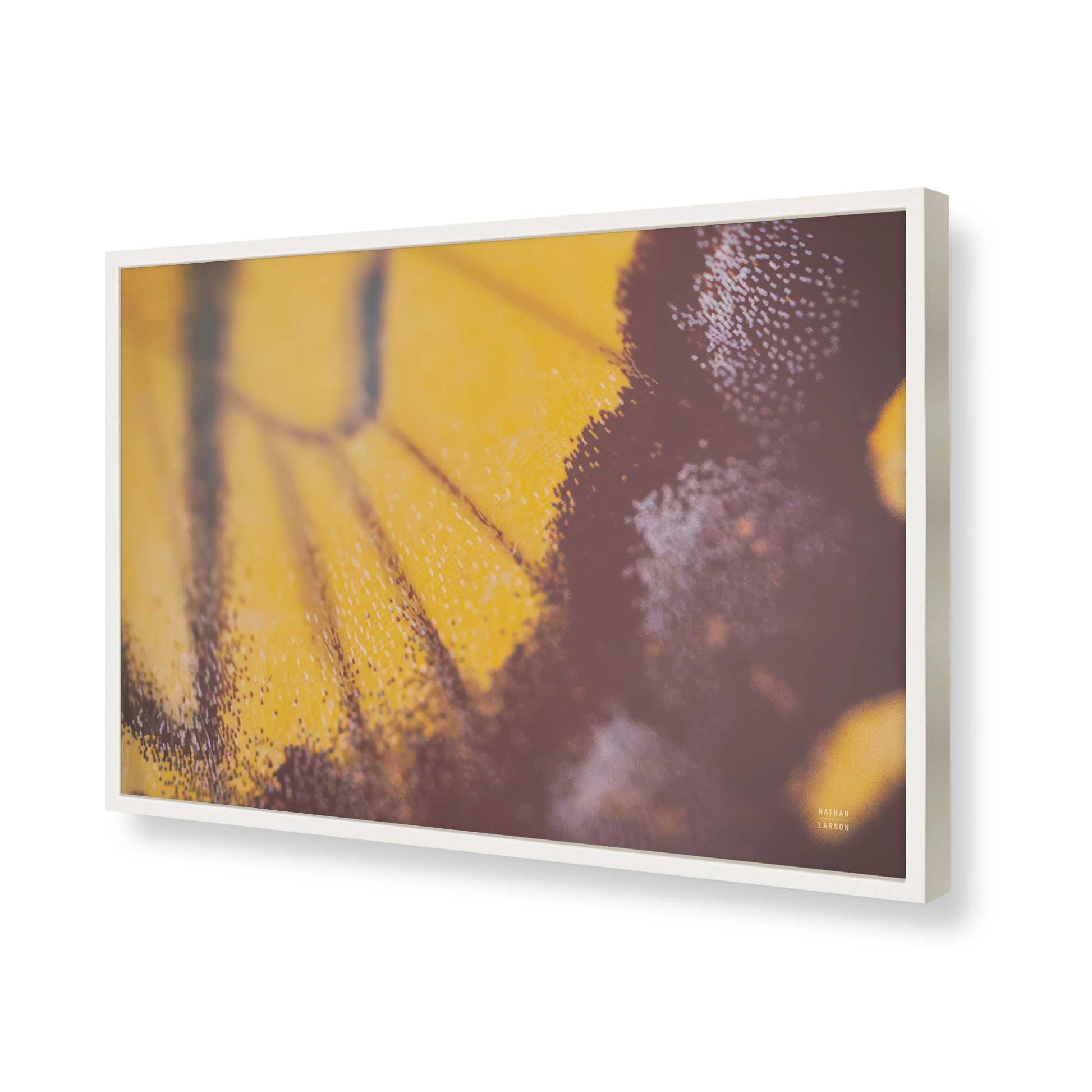 [Color:Opaque White], Picture of art in a Opaque White frame of the corner