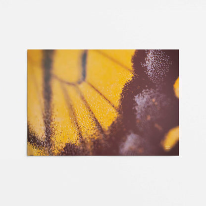 [Color:Rolled Print], Picture of close up of art