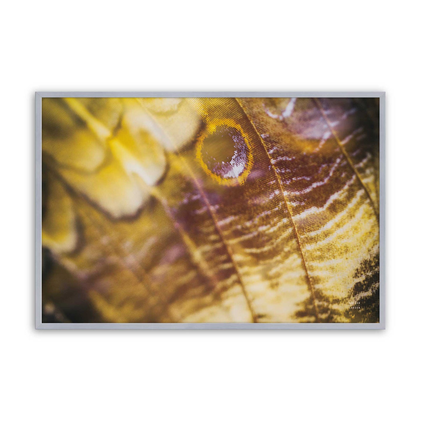 [Color:Polished Chrome], Picture of art in a Polished Chrome frame